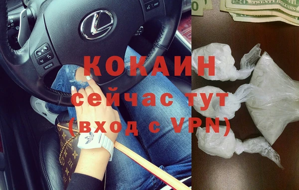 индика Лагань
