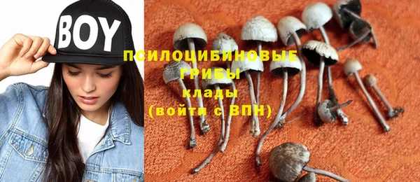 мяу мяу мука Ладушкин