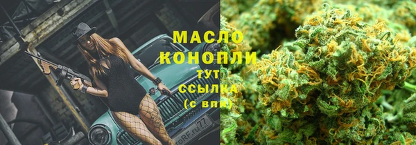 индика Лагань