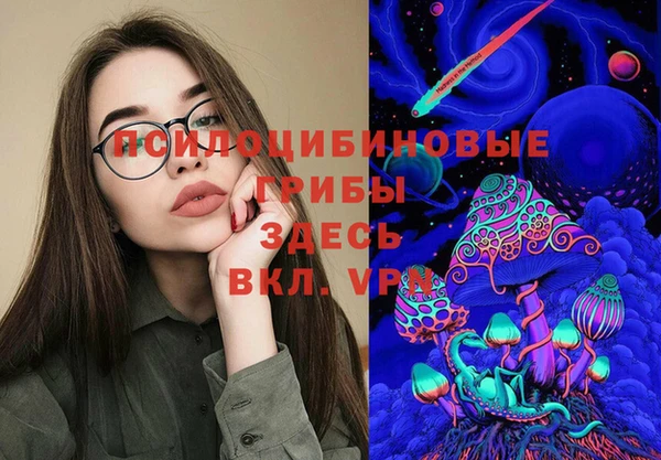 индика Лагань