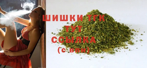 индика Лагань